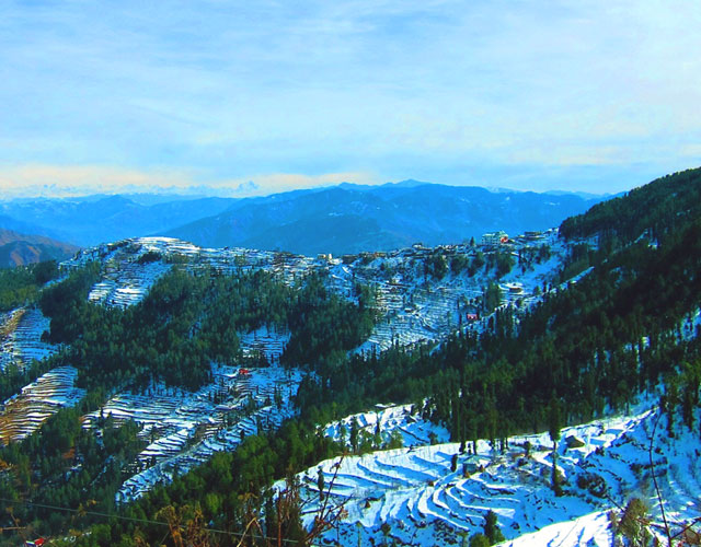 Hotel King Palace Shimla
