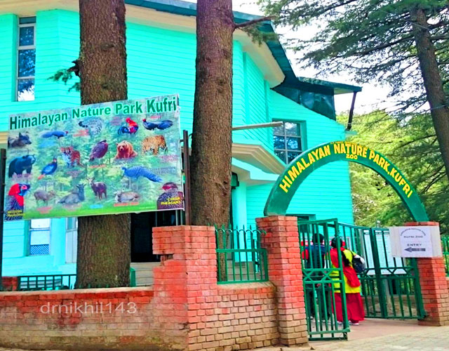 Hotel King Palace Shimla